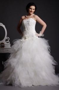 Lacy - Appliqued Corset Bodice Flares to Feathered Tulle Skirt