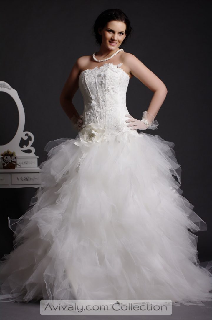 Lacy - Appliqued Corset Bodice Flares to Feathered Tulle Skirt